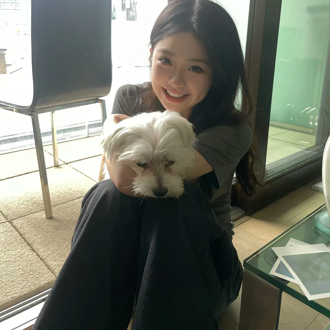 忘情不知家何处